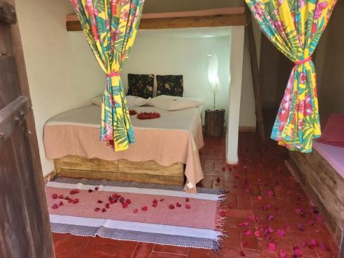 伊塔比里图Pousada Suçuarana的卧室配有一张带花瓣的床,位于地板上