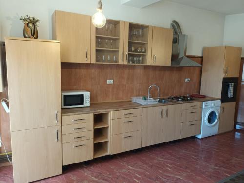普洛耶什蒂Apartament 2 dormitoare的厨房配有木制橱柜、水槽和微波炉