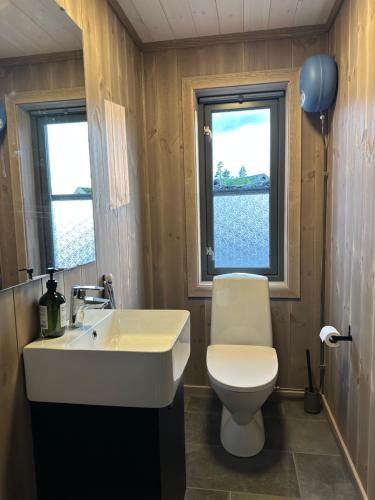 DrangedalHelårs moderne familiehytte med wifi, billader, ski inn, ski ut og utmerket beliggenhet的一间带卫生间和水槽的浴室以及两个窗户。