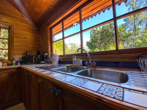 埃尔卡内洛Cabañas Casa en La Montaña的厨房配有不锈钢水槽和窗户