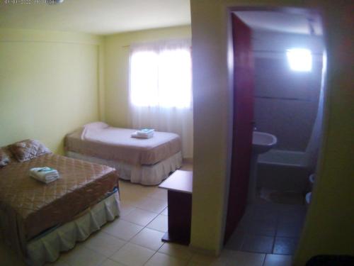 佩里托莫雷诺Lago Buenos Aires的一间酒店客房 - 带一张床和一间浴室
