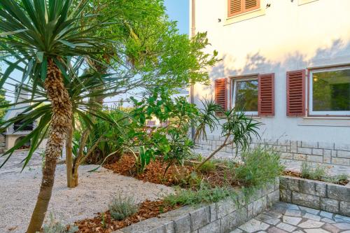 大洛希尼Apartment Pepermint - near Ljubicic Tennis Academy的花园内一棵棕榈树,旁边是一座房子