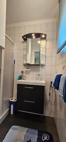 采尔特韦格Harti Haus的一间带水槽和镜子的浴室