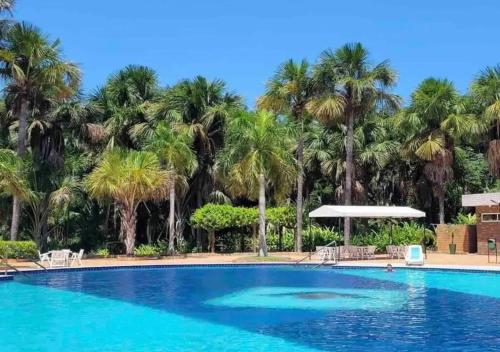 巴雷里尼亚斯Flat Gran Lençóis的一座棕榈树环绕的游泳池