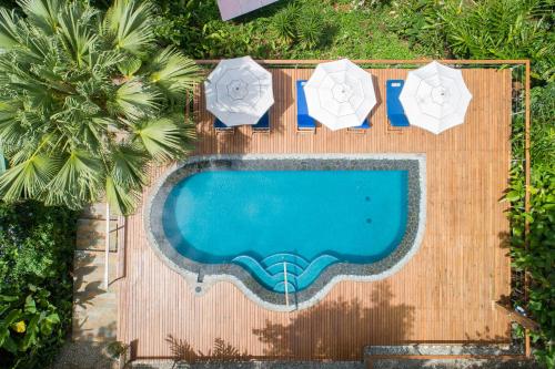 希门尼斯港El Remanso Rainforest Lodge的享有带两把遮阳伞的游泳池的顶部景致