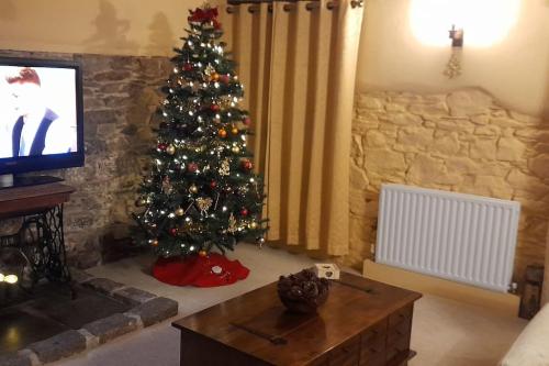 索尔塔什The Barn的客厅配有圣诞树和电视