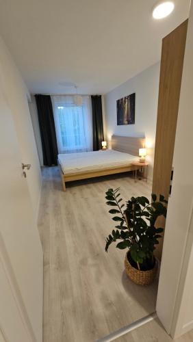 布拉迪斯拉发2 room Apartment with terrace, 2AK的一间有床和盆栽的房间