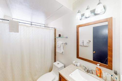 格罗夫兰Cozy Cabin的一间带卫生间、水槽和镜子的浴室