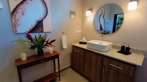 塔马林多Suite Dream Blue的一间带水槽和镜子的浴室