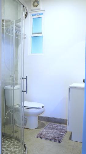 提华纳Estudio Central London Consulado的一间带卫生间和玻璃淋浴间的浴室