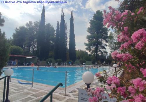 卢特拉伊帕蒂斯Ermis的一座种有树木和粉红色花卉的游泳池