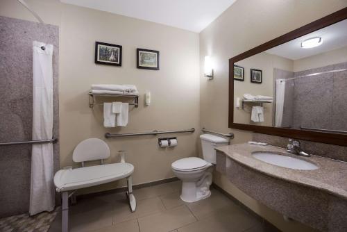 米德韦Comfort Inn & Suites Midway - Tallahassee West的一间带卫生间、水槽和镜子的浴室