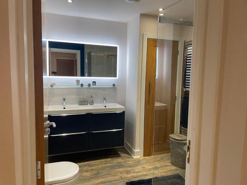 卡比斯贝Carbis Bay Suite, Carbis Bay, St Ives, free parking, near beach的一间带水槽、卫生间和镜子的浴室