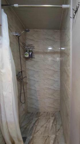 阿哈尔齐赫Katly的带淋浴和浴帘的浴室