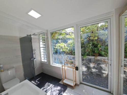 圣吉尔莱班Villa tropicale - Meublé de Tourisme 4 Etoiles的带淋浴的浴室和大窗户
