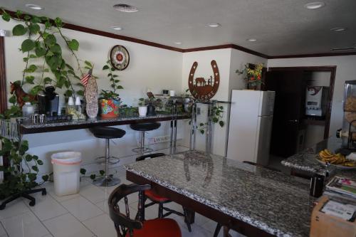 斯奈德紫鼠尾草汽车旅馆的厨房配有桌子和冰箱