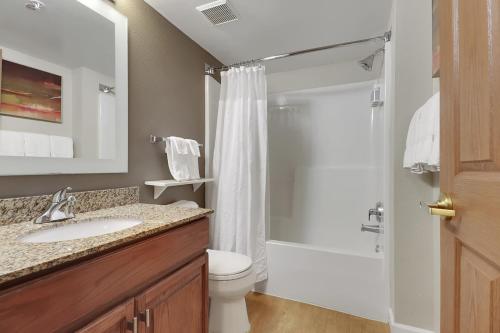 大学城TownePlace Suites by Marriott College Station的浴室配有卫生间、盥洗盆和淋浴。