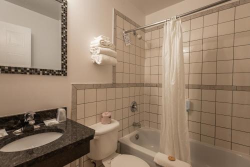 蒙特利尔罗贝瓦尔酒店的浴室配有卫生间、盥洗盆和浴缸。