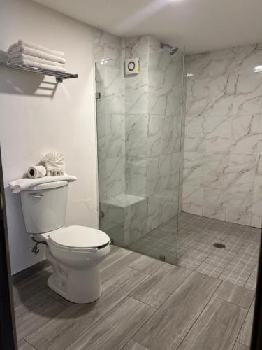 埃莫西约布吉姆比利亚酒店的一间带卫生间和玻璃淋浴间的浴室