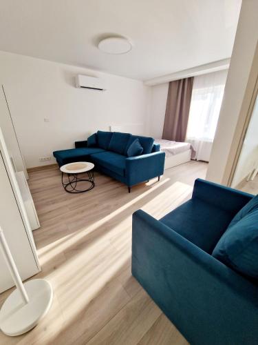 拉兹迪亚伊Apartments in Lazdijai的客厅配有蓝色的沙发和桌子