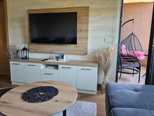 兹拉蒂博尔Vila Pekovic Blue - Apartman TORG的客厅配有电视和桌子