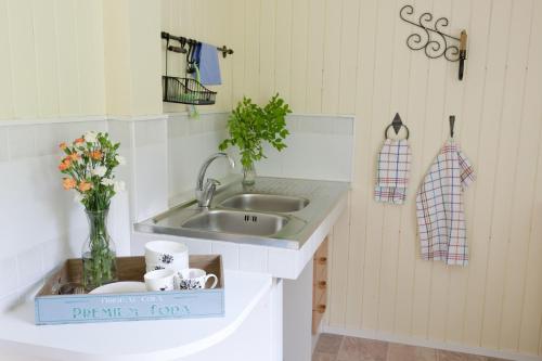 波尔沃Soltorp Eco Lodge的厨房配有水槽和花瓶