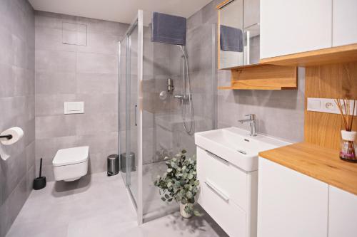 克维尔达Strunzova pila - wellness的带淋浴、卫生间和盥洗盆的浴室