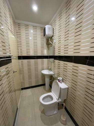 拉各斯Lovadek Spacious Apartment的一间带卫生间和水槽的浴室