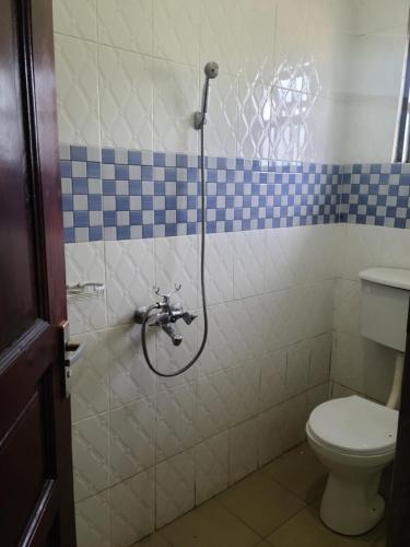 姆巴拉拉Orchard Home Homestay的带淋浴和卫生间的浴室