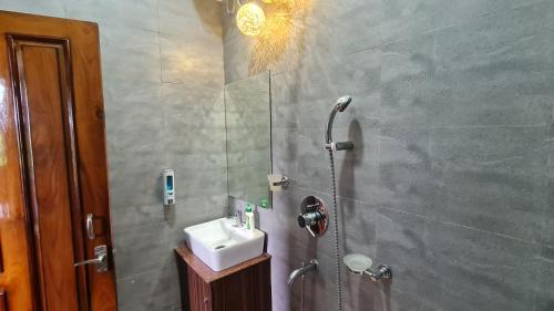 RanīcheraThe GreyStone FarmHouse, Turibari的带淋浴和盥洗盆的浴室