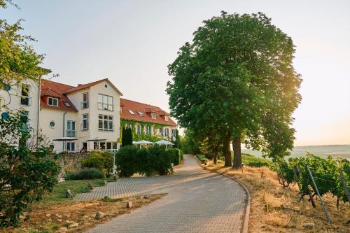 Sankt JohannHofgut Wißberg - Das Weinberghotel的山丘上一条有房屋和树木的街道
