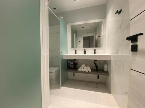 莱昂HOSTEL ALEA的一间带水槽、卫生间和镜子的浴室