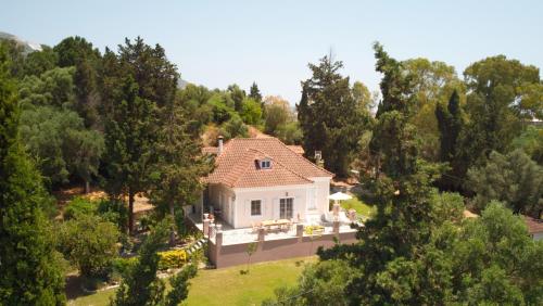 卡拉马孔优雅扎金索斯别墅的享有白色树屋的空中景致