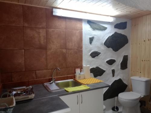 伊科德洛斯维诺斯Loft Estudio Habitación independiente的一间带水槽和卫生间的浴室
