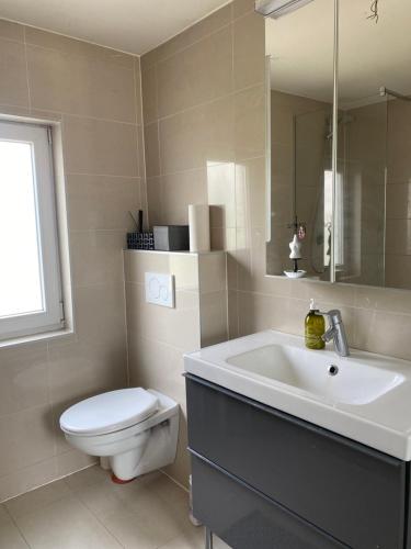 圣马尔滕斯·拉特姆Big apartments with mini-kitchen的一间带水槽、卫生间和镜子的浴室