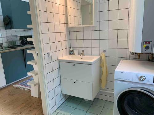 斯德哥尔摩The Green House的一间带水槽和洗衣机的浴室