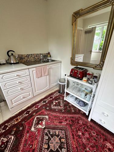 贝尔法斯特Garden Snug的厨房配有红色地毯和镜子