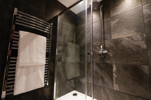 里辛里辛城堡Spa乡村民宿的带淋浴的浴室和玻璃门