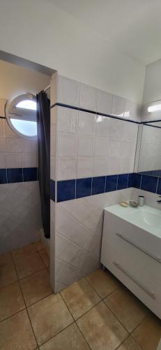 莱特鲁瓦西莱TURQUOISE CARAIBES的一间带水槽和淋浴的浴室