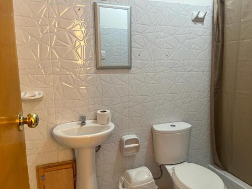 帕拉卡斯Hostal Mendieta的一间带卫生间、水槽和镜子的浴室