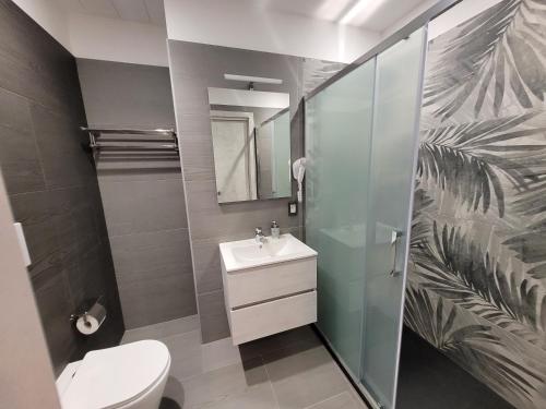 伊索拉戴里费米尼SP Rooms的一间带卫生间、水槽和镜子的浴室