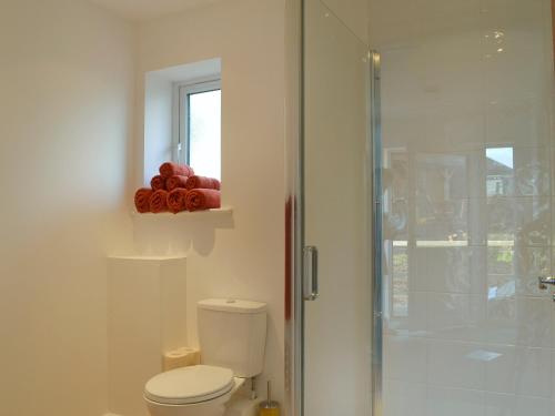 GodstoneTawny Owls的一间带卫生间和玻璃淋浴间的浴室