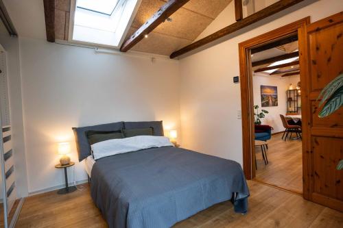 霍森斯New Cozy Central Scandinavian Skylight House的一间卧室配有一张床和天窗