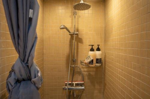 霍森斯New Cozy Central Scandinavian Skylight House的浴室设有蓝色淋浴帘和淋浴