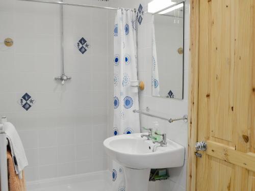阿利士Laurel Bank的白色的浴室设有水槽和淋浴。