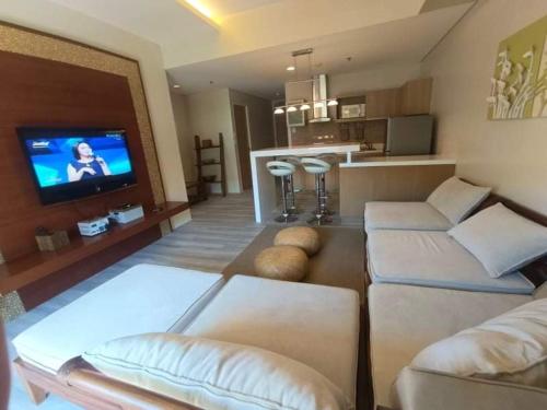 纳苏格布Luxurious Family Room Pico de Loro的带沙发和电视的客厅以及厨房。