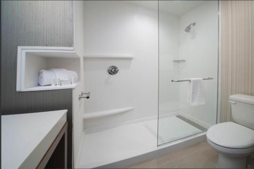 拉戈Courtyard Largo Medical Center Drive的带淋浴和卫生间的白色浴室
