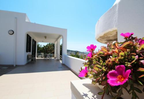 佩斯科勒海滨Casa Vacanze Rosita的旁边是一座粉红色花卉的房子