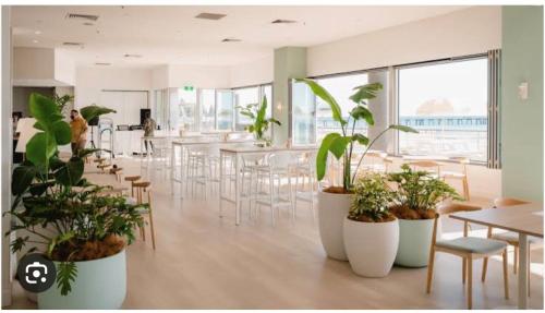 格莱内尔格Absolute Beachfront at the Pier Glenelg的配有桌椅和盆栽的植物的房间