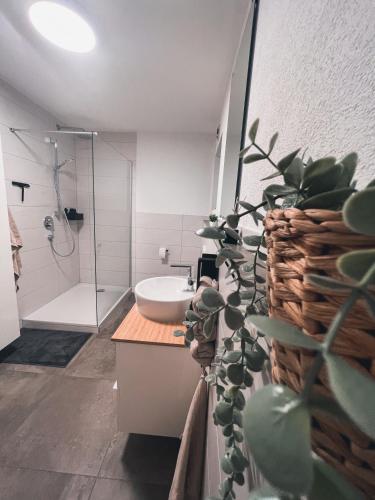 UnteropfingenBergoase Relax&Spa的一间带水槽、淋浴和植物的浴室